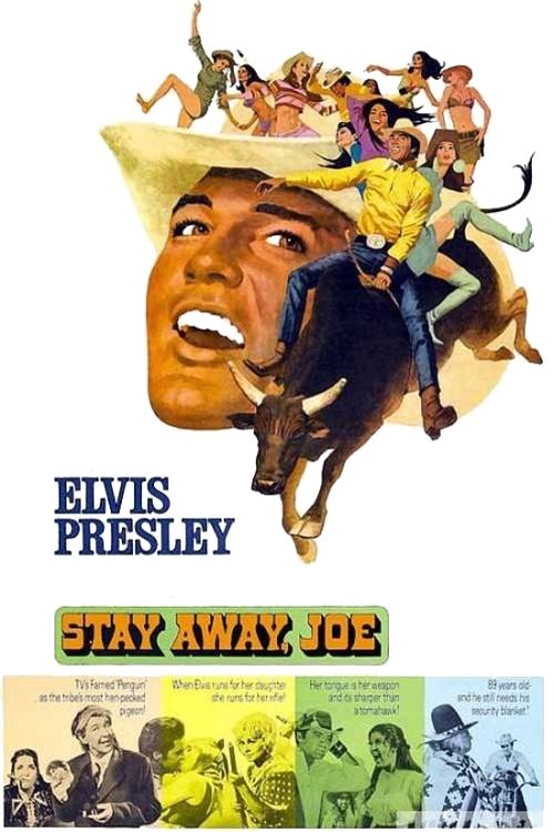 Stay Away, Joe poster