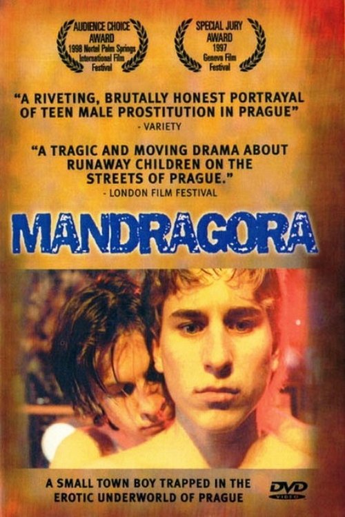 Mandragora Streaming VF