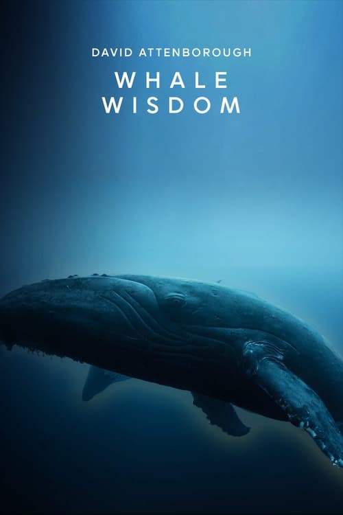 Whale Wisdom (2018) poster