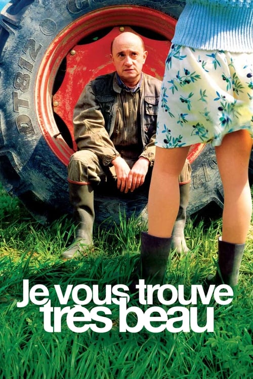 Je vous trouve très beau (2005) poster