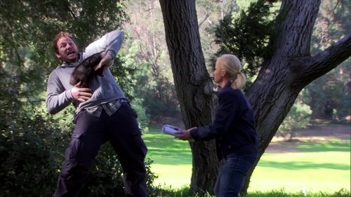 Confusões de Leslie: 2×18