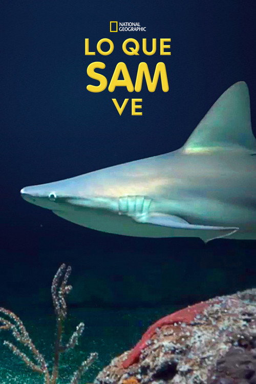 What Sam Sees poster