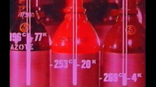 Image de l'épisode 304