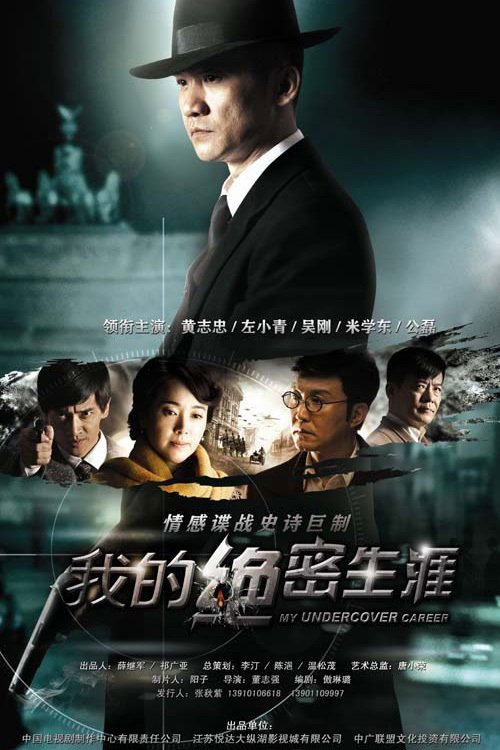 我的绝密生涯 (2014)