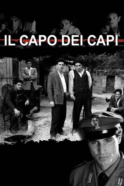 |IT| Il capo dei capi