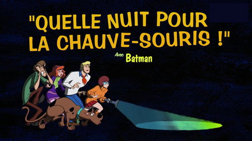 Image Quelle nuit pour la chauve-souris !