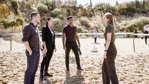 FBI: Internacional: 4×3