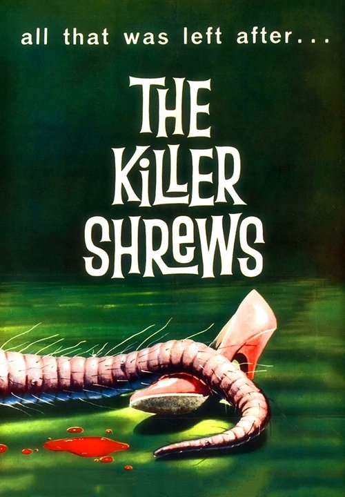 Free Watch Free Watch The Killer Shrews (1959) Online Stream Movie Putlockers 1080p Without Downloading (1959) Movie uTorrent 720p Without Downloading Online Stream