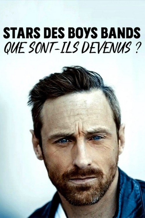 Stars des boys bands : que sont-ils devenus ? movie poster player