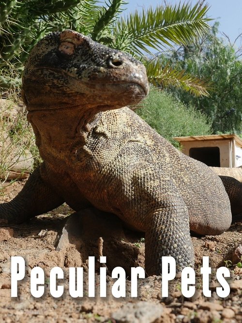 Peculiar Pets poster