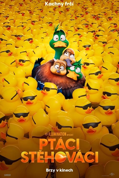 Plakát filmu PTÁCI STĚHOVÁCI