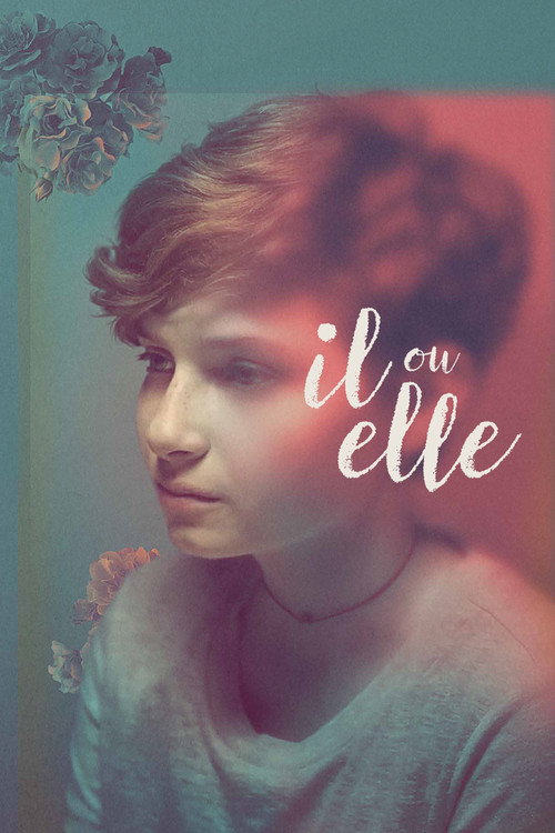 Il ou elle