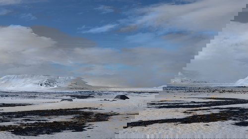 One Strange Rock: 1×4