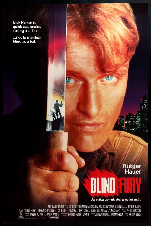 Fúria Cega movie poster player