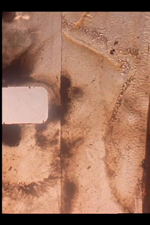 Compost Confidential