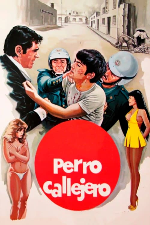 Perro callejero 1980