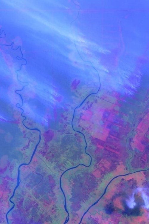 Ecocide in Indonesia