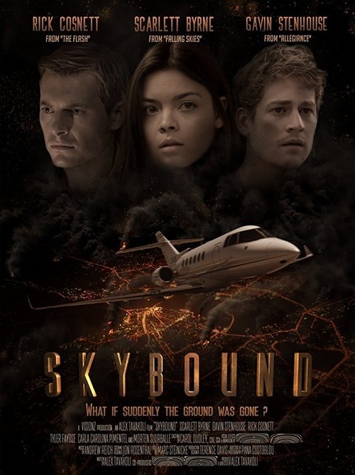 Skybound poster