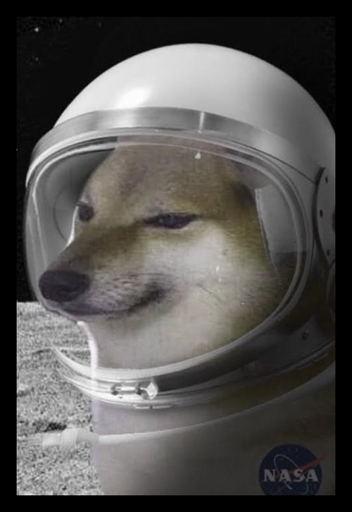 Cheems Dog Goes To The Moon movie poster player