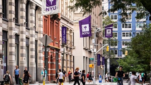 Meet The Most Based NYU Student image 1