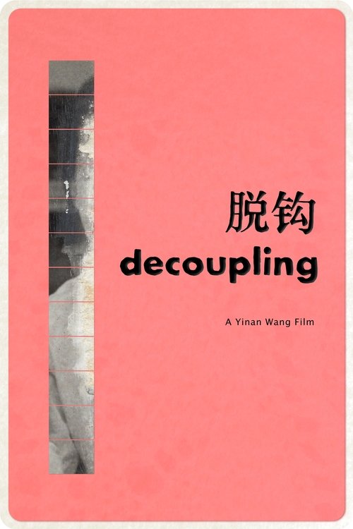 Decoupling 脱钩 (2024)