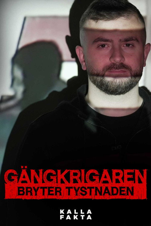 Kalla fakta: Gängkrigaren bryter tystnaden