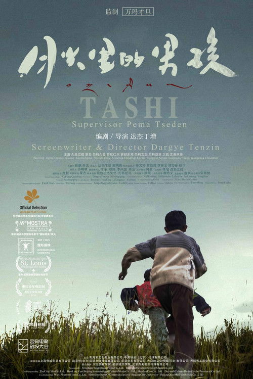 Tashi poster