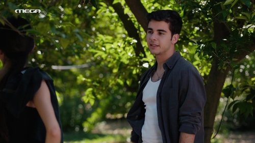 Épisode 169