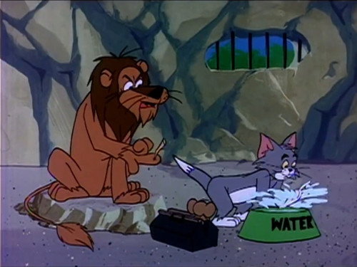 The Hypochondriac Lion