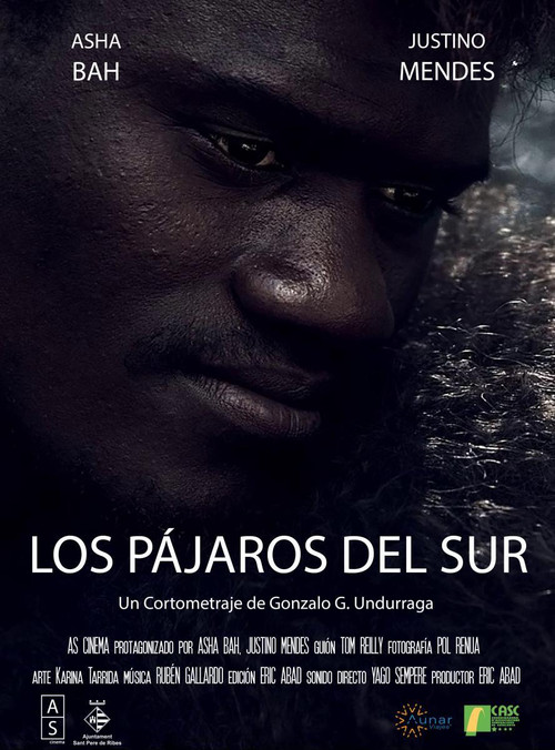 Cartell de Los Pájaros del Sur
