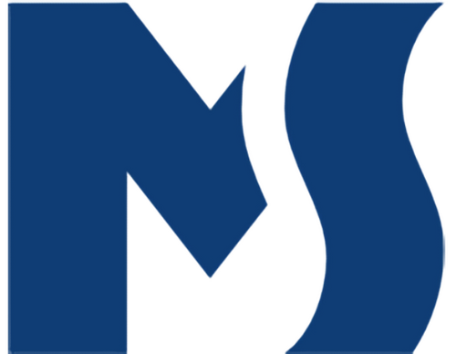 Mediaslovo logo