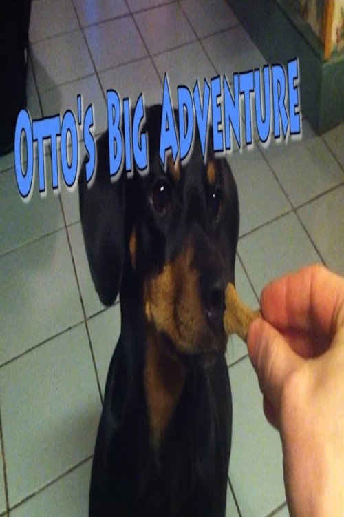 Otto's Big Adventure: A Dog's Day Out!