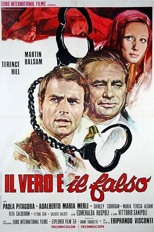 Il vero e il falso movie poster player