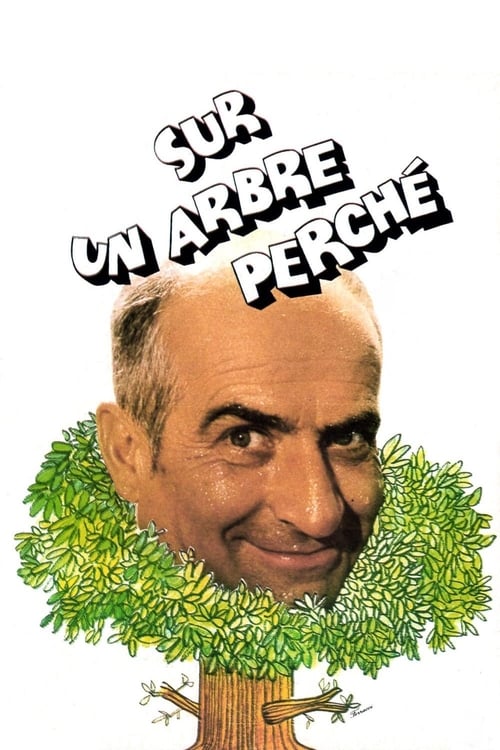 Sur Un Arbre Perché