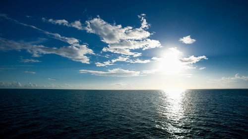 Sea Fever - Season 1 Backdrop Blur