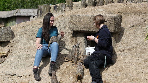 Image de l'épisode 3