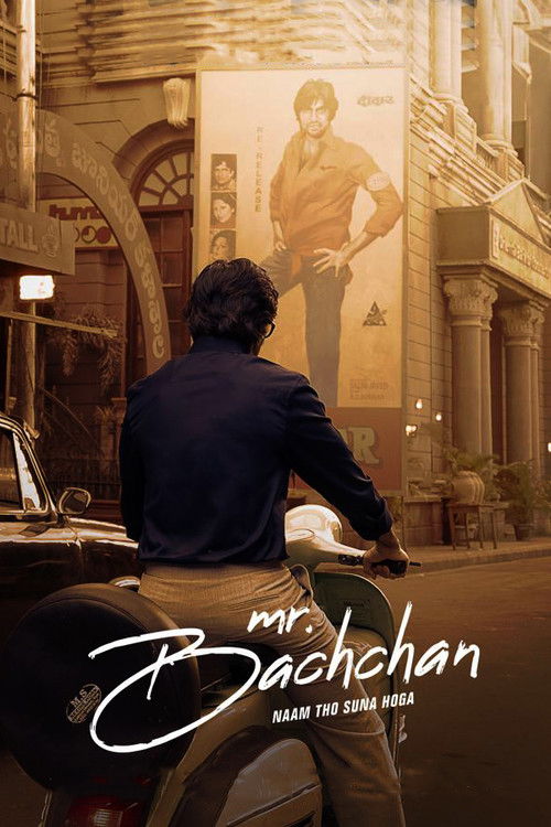 Mr Bachchan poster