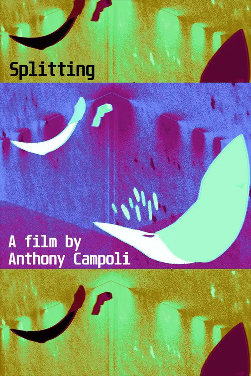 Splitting () poster