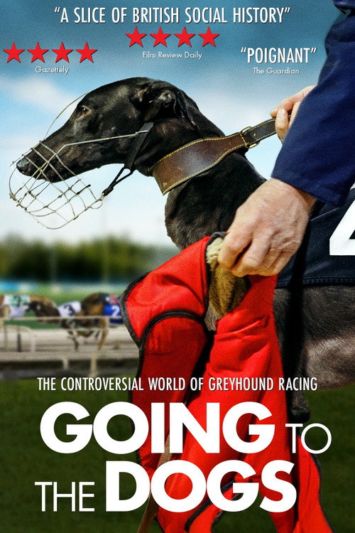 Going to the Dogs