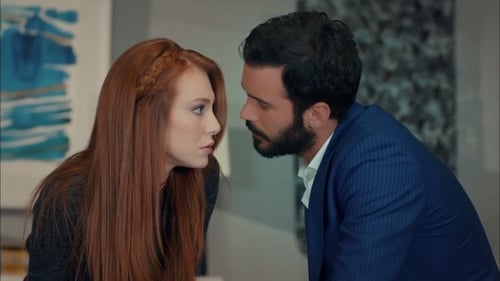 Poster della serie Kiralık Aşk