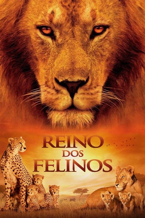 Reino dos Felinos