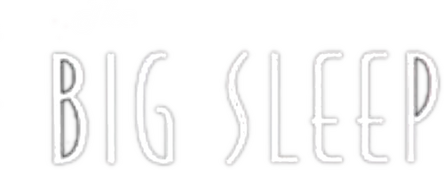The Big Sleep
