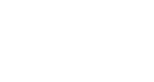 The Bradshaw Bunch