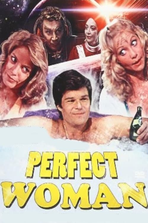 Poster The Perfect Woman 1981