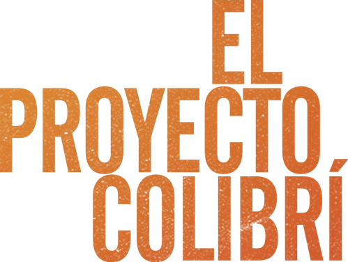 El Proyecto Colibrí