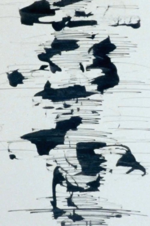 S=13