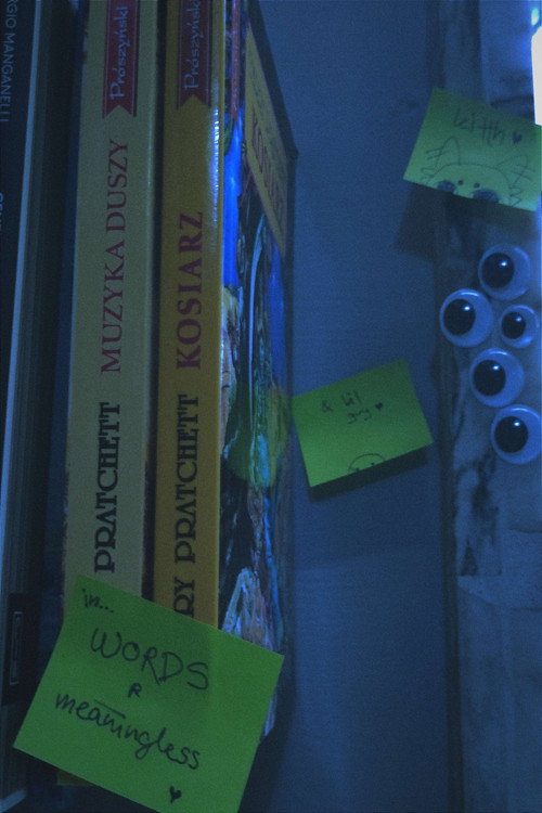 words are meaningless