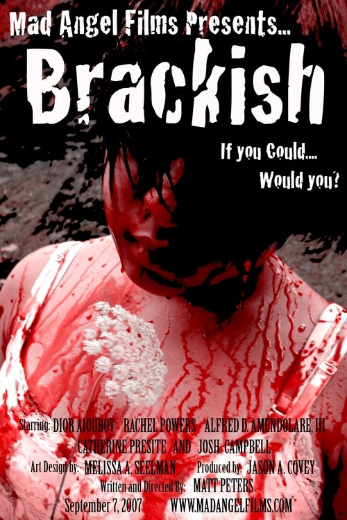 Brackish (2007) poster