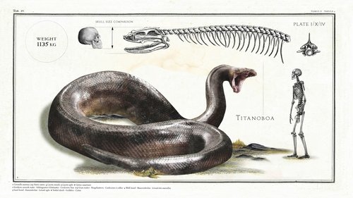 Big Beasts: Last of the Giants