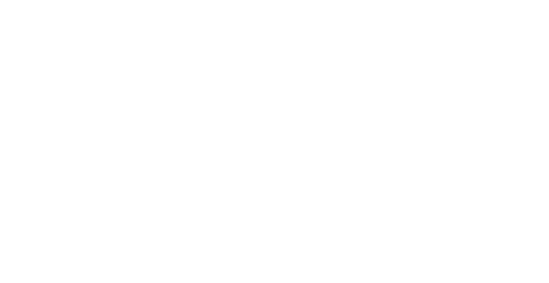 Ruth Stone's Vast Library of the Female Mind